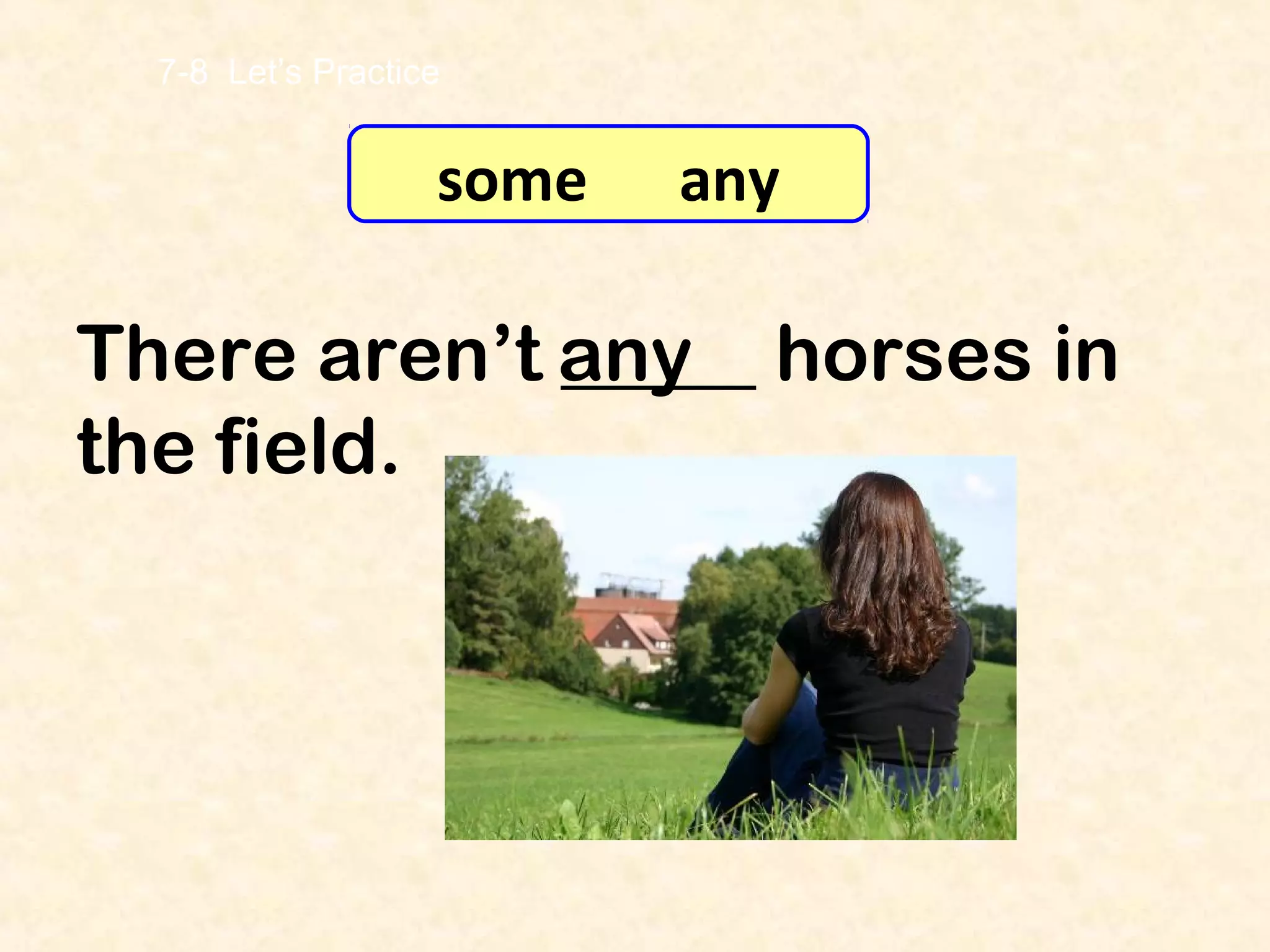 Countable and uncountable nouns - some and any | PPT