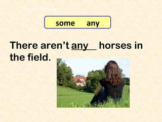 There aren’t _____ horses in
the field.
any
7-8 Let’s Practice
some any
 