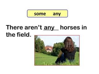 There aren’t _____ horses in
the field.
any
7-8 Let’s Practice
some any
 