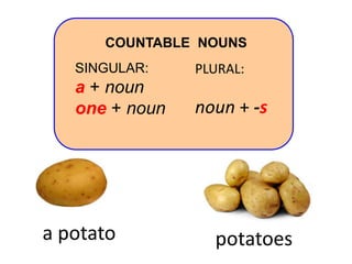 SINGULAR:
a + noun
one + noun
PLURAL:
noun + -s
COUNTABLE NOUNS
potatoesa potato
 