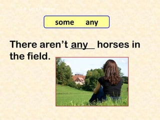 7-8 Let’s Practice


                   some   any

There aren’t _____ horses in
             any
the field.
 