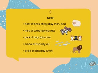 + flock of birds, sheep (bầy chim, cừu)
+ herd of cattle (bầy gia súc)
+ pack of dogs (bầy chó)
+ school of fish (bầy cá)
+ pride of lions (bầy sư tử)
NOTE
 