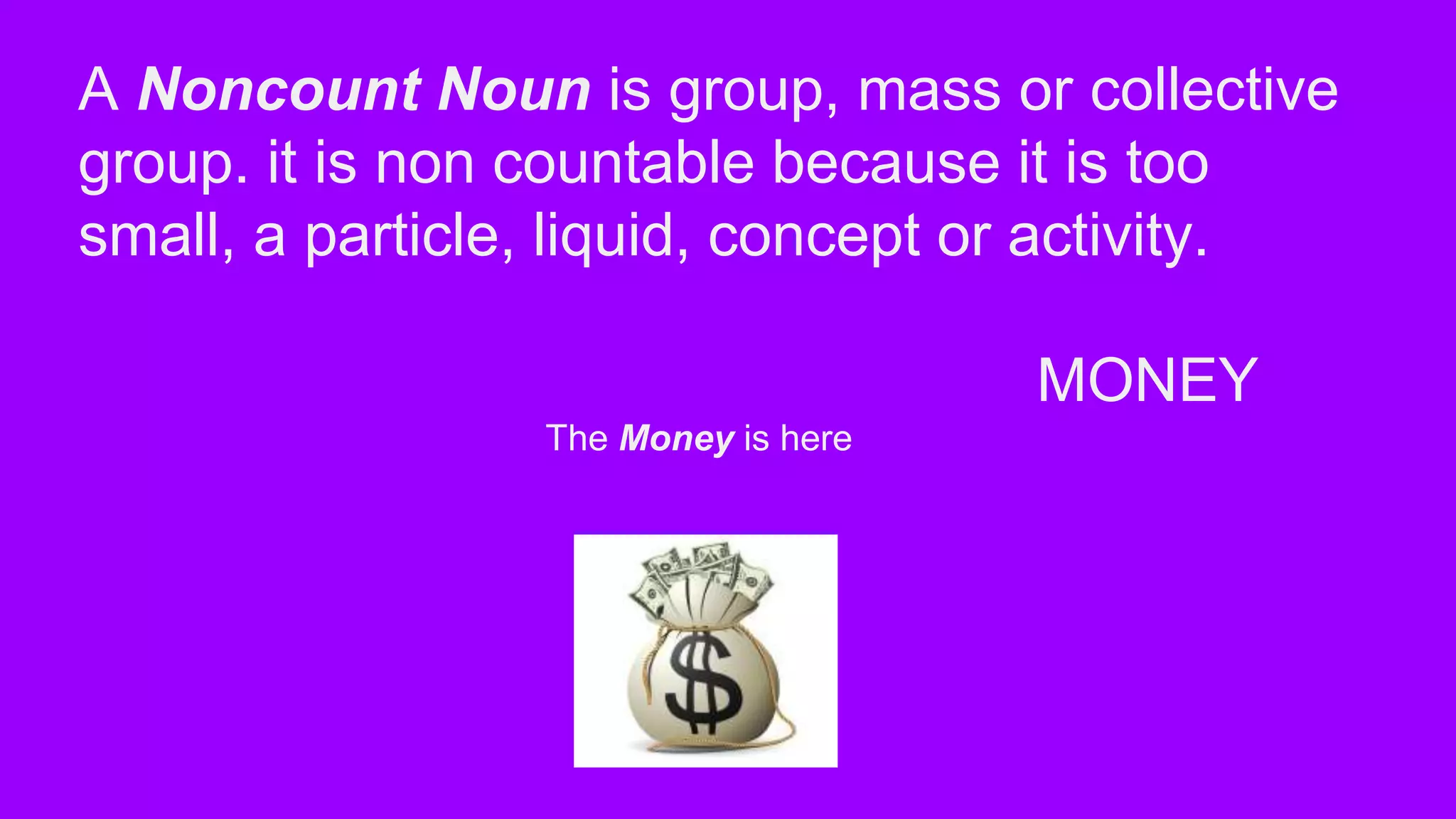 Count and noncount nouns PPT