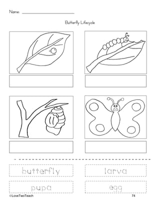 ©LoveTwoTeach 74
Name: ________________________________
Butterfly Lifecycle
- -
-
-
- -
-
-
- -
-
-
- -
-
-
- -
-
-
- -
-
-
- -
-
-
- -
-
-
- -
-
-
- -
-
-
- -
-
-
- -
-
-
- -
-
-
- -
-
-
- -
-
-
- -
-
-
- -
-
-
- -
-
-
- -
-
-
- -
-
-
- -
-
-
- -
-
-
- -
-
-
- -
-
-
- -
-
-
- -
-
-
- -
-
-
- -
-
-
- -
-
-
- -
-
-
- -
-
-
- -
-
-
- -
-
-
- -
-
-
- -
-
-
- -
-
-
- -
-
-
- -
-
-
- -
-
-
- -
-
-
-
-
-
-
-
pupa
butterfly larva
egg
 