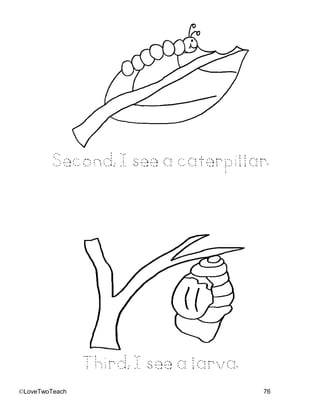©LoveTwoTeach 76
Second, I see a caterpillar.
Third, I see a larva.
 
