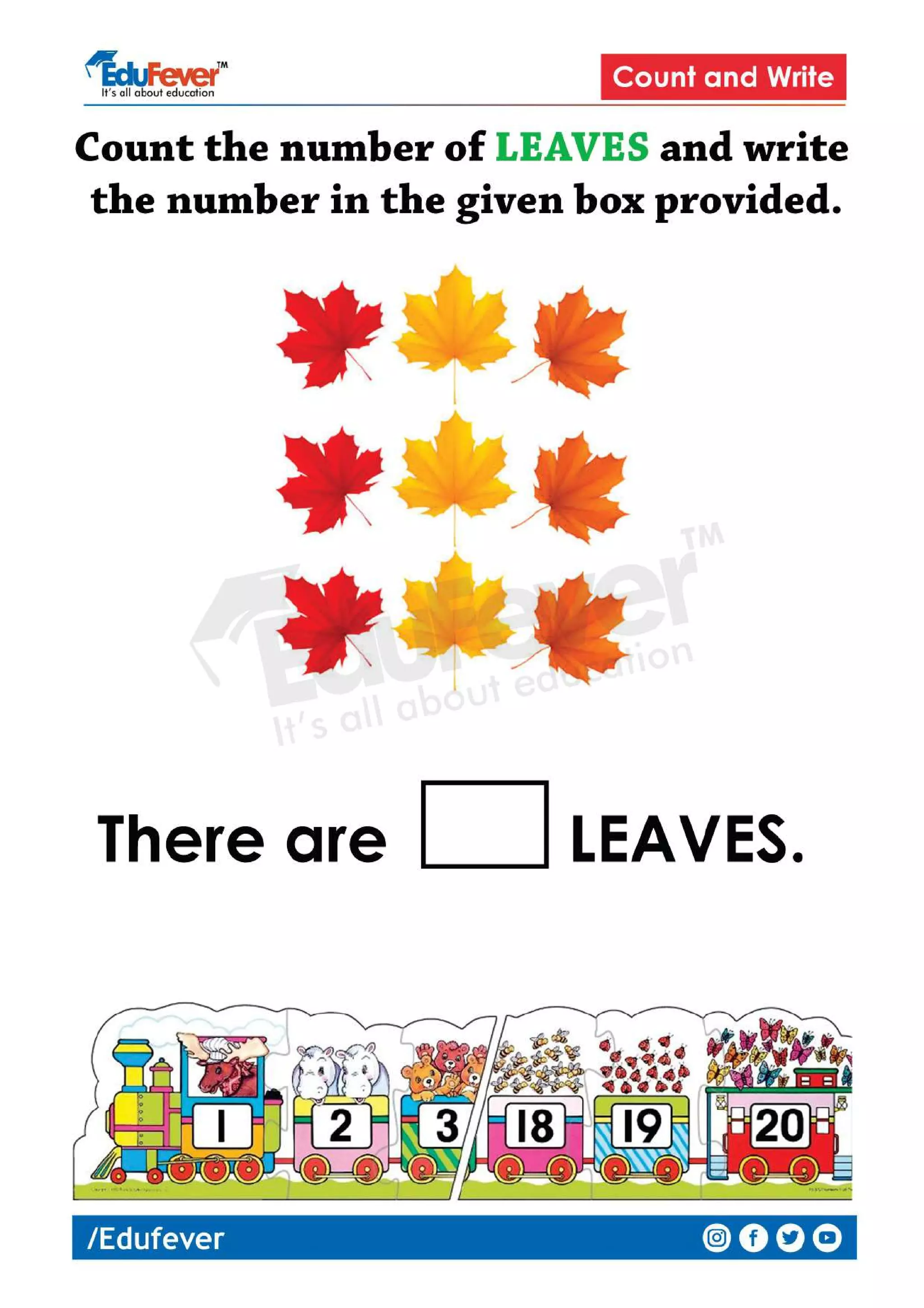 Count and Write LKG Maths Worksheet PDF