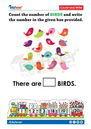 Count and Write LKG Maths Worksheet PDF