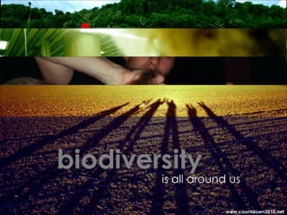 Countdown 2010: Biodiversity is all around us