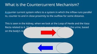 Counter-current Mechanism.pptx that deals with kidneys | PPTX
