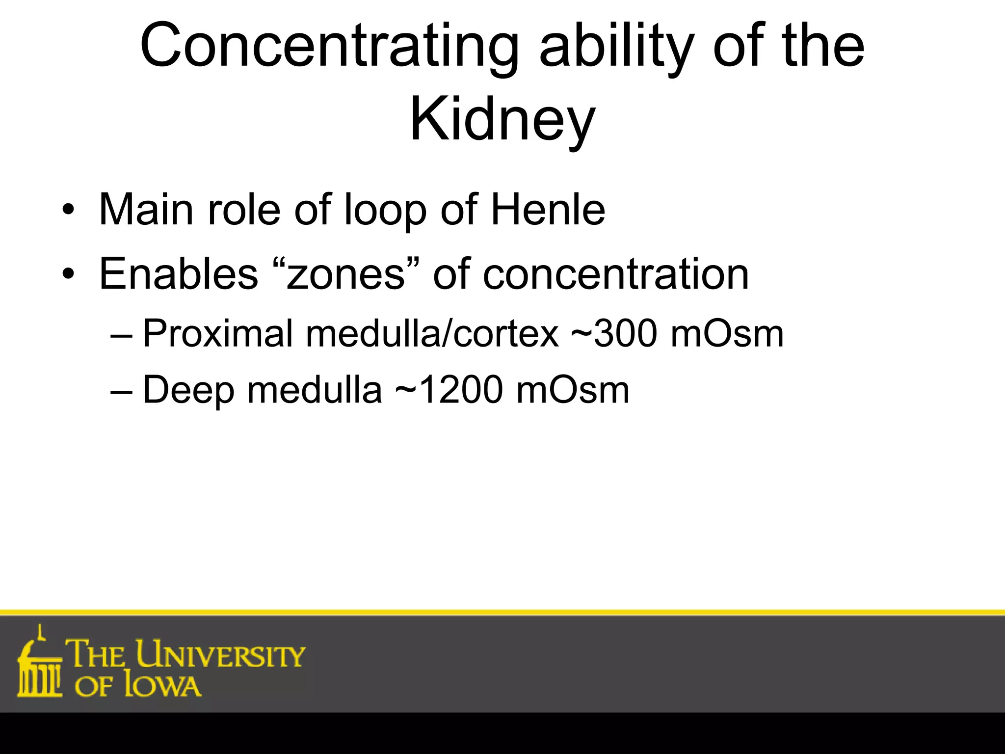Concentrating ability of the 
Kidney 
• Main role of loop of Henle 
• Enables “zones” of concentration 
– Proximal medulla/cortex ~300 mOsm 
– Deep medulla ~1200 mOsm 
 