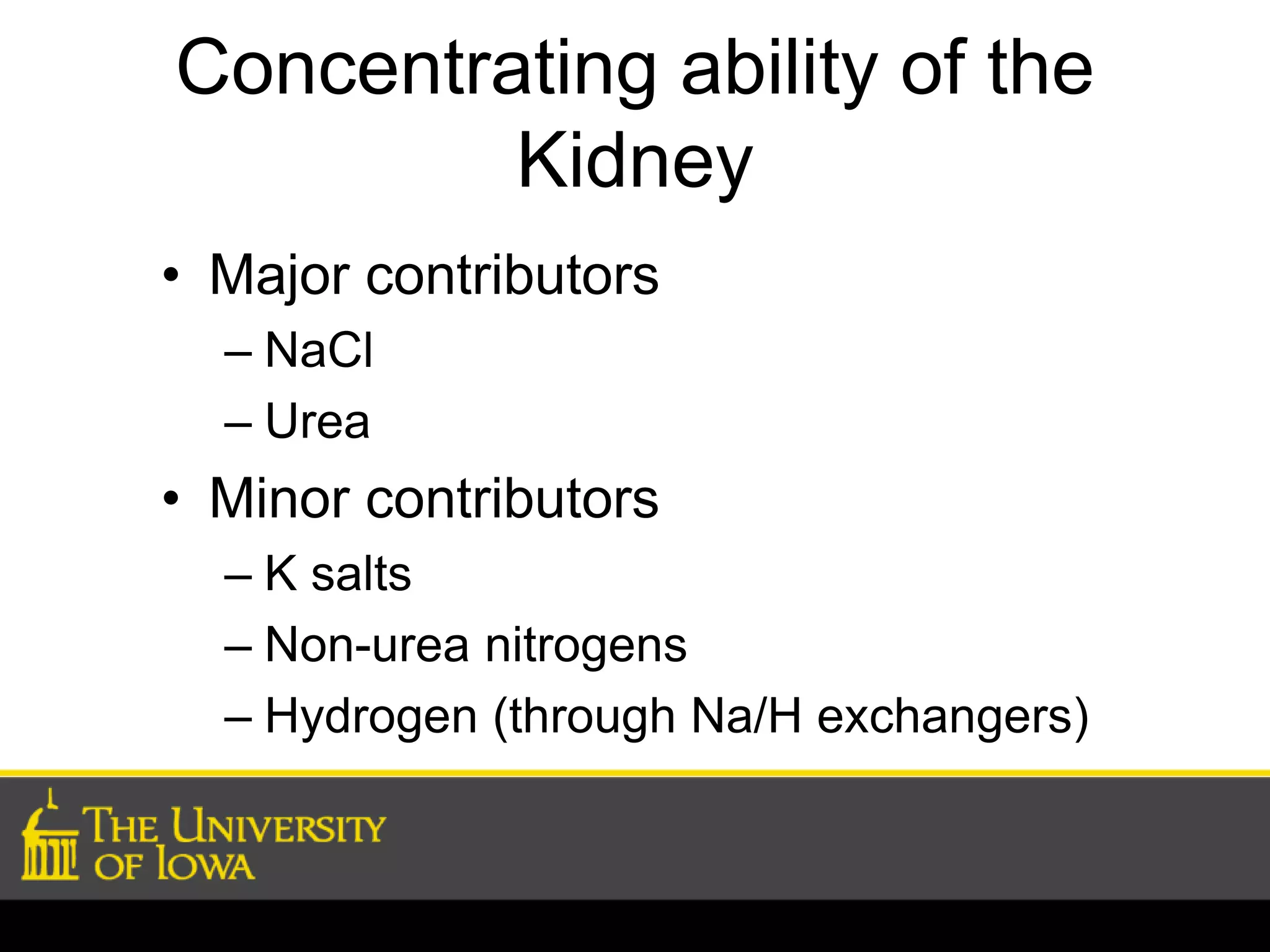 Concentrating ability of the 
Kidney 
• Major contributors 
– NaCl 
– Urea 
• Minor contributors 
– K salts 
– Non-urea nitrogens 
– Hydrogen (through Na/H exchangers) 
 