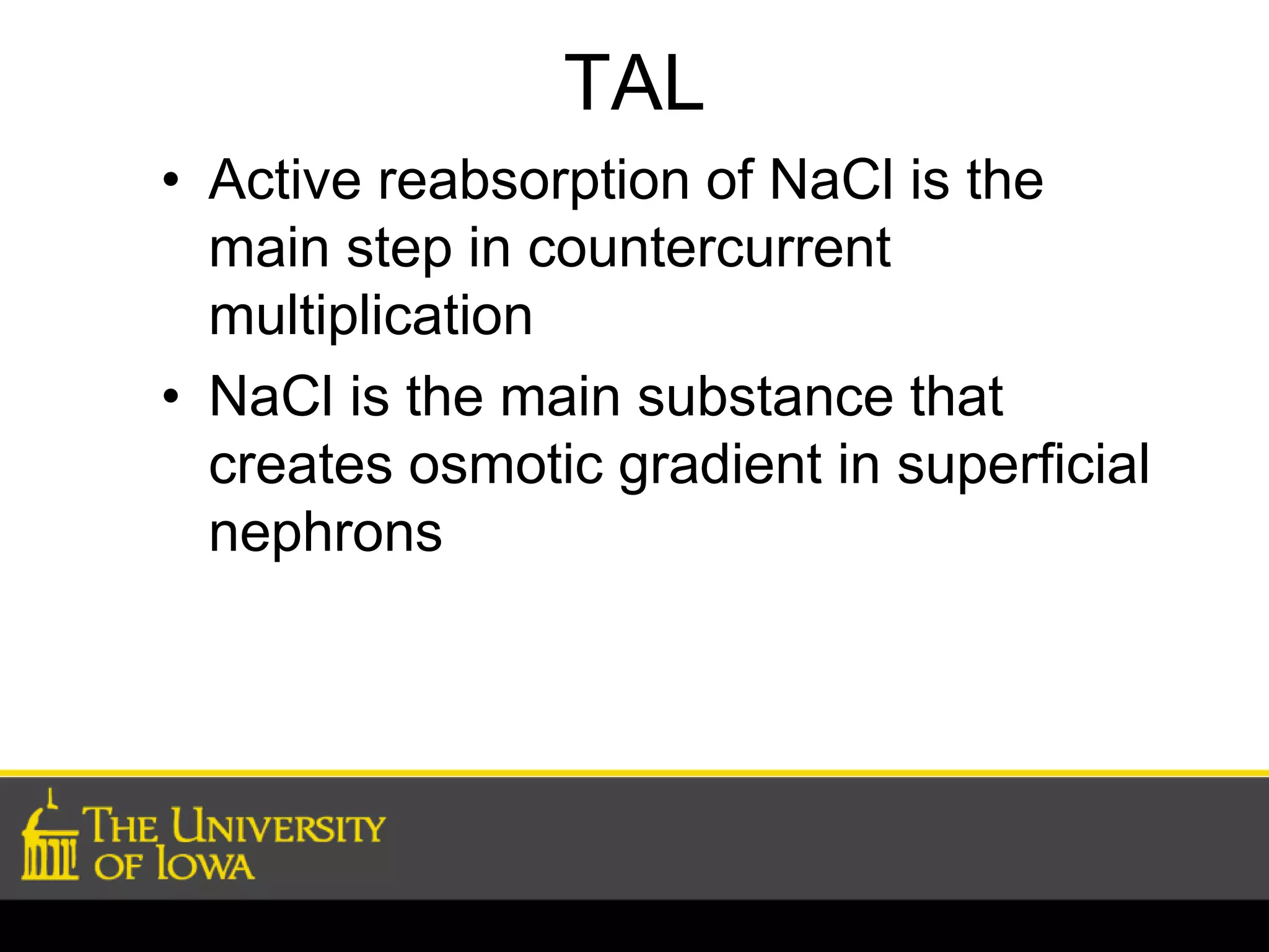 TAL 
• Active reabsorption of NaCl is the 
main step in countercurrent 
multiplication 
• NaCl is the main substance that 
creates osmotic gradient in superficial 
nephrons 
 