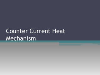 Counter Current Heat
Mechanism
 