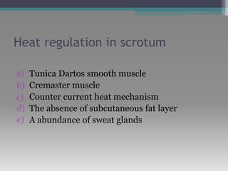 Heat regulation in scrotum
a) Tunica Dartos smooth muscle
b) Cremaster muscle
c) Counter current heat mechanism
d) The absence of subcutaneous fat layer
e) A abundance of sweat glands
 