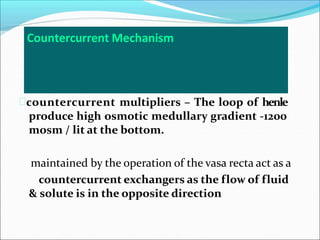 Countercurrent Mechanism
countercurrent multipliers – The loop of henle
produce high osmotic medullary gradient -1200
mosm / lit at the bottom.
maintained by the operation of the vasa recta act as a
countercurrent exchangers as the flow of fluid
& solute is in the opposite direction
 