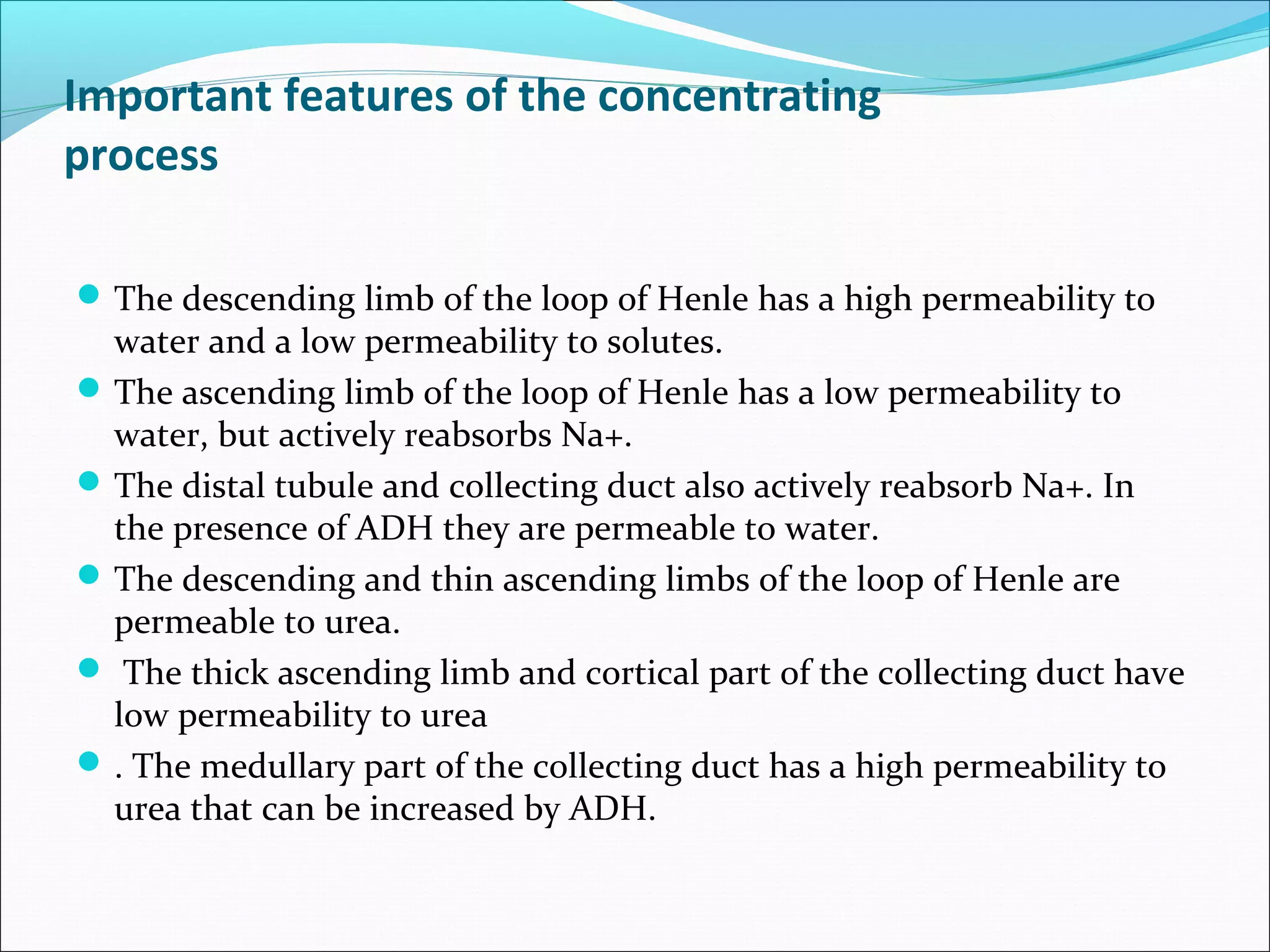 Important features of the concentrating
process

 The descending limb of the loop of Henle has a high permeability to
  water and a low permeability to solutes.
 The ascending limb of the loop of Henle has a low permeability to
  water, but actively reabsorbs Na+.
 The distal tubule and collecting duct also actively reabsorb Na+. In
  the presence of ADH they are permeable to water.
 The descending and thin ascending limbs of the loop of Henle are
  permeable to urea.
 The thick ascending limb and cortical part of the collecting duct have
  low permeability to urea
 . The medullary part of the collecting duct has a high permeability to
  urea that can be increased by ADH.
 