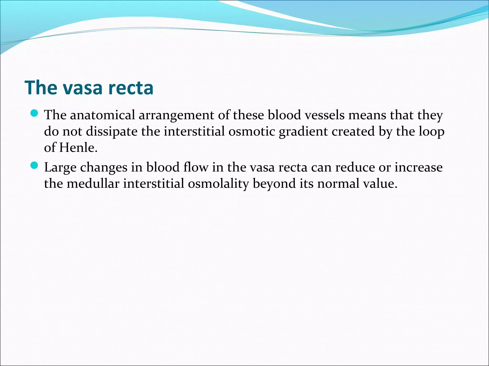 The vasa recta
 The anatomical arrangement of these blood vessels means that they
  do not dissipate the interstitial osmotic gradient created by the loop
  of Henle.
 Large changes in blood flow in the vasa recta can reduce or increase
  the medullar interstitial osmolality beyond its normal value.
 