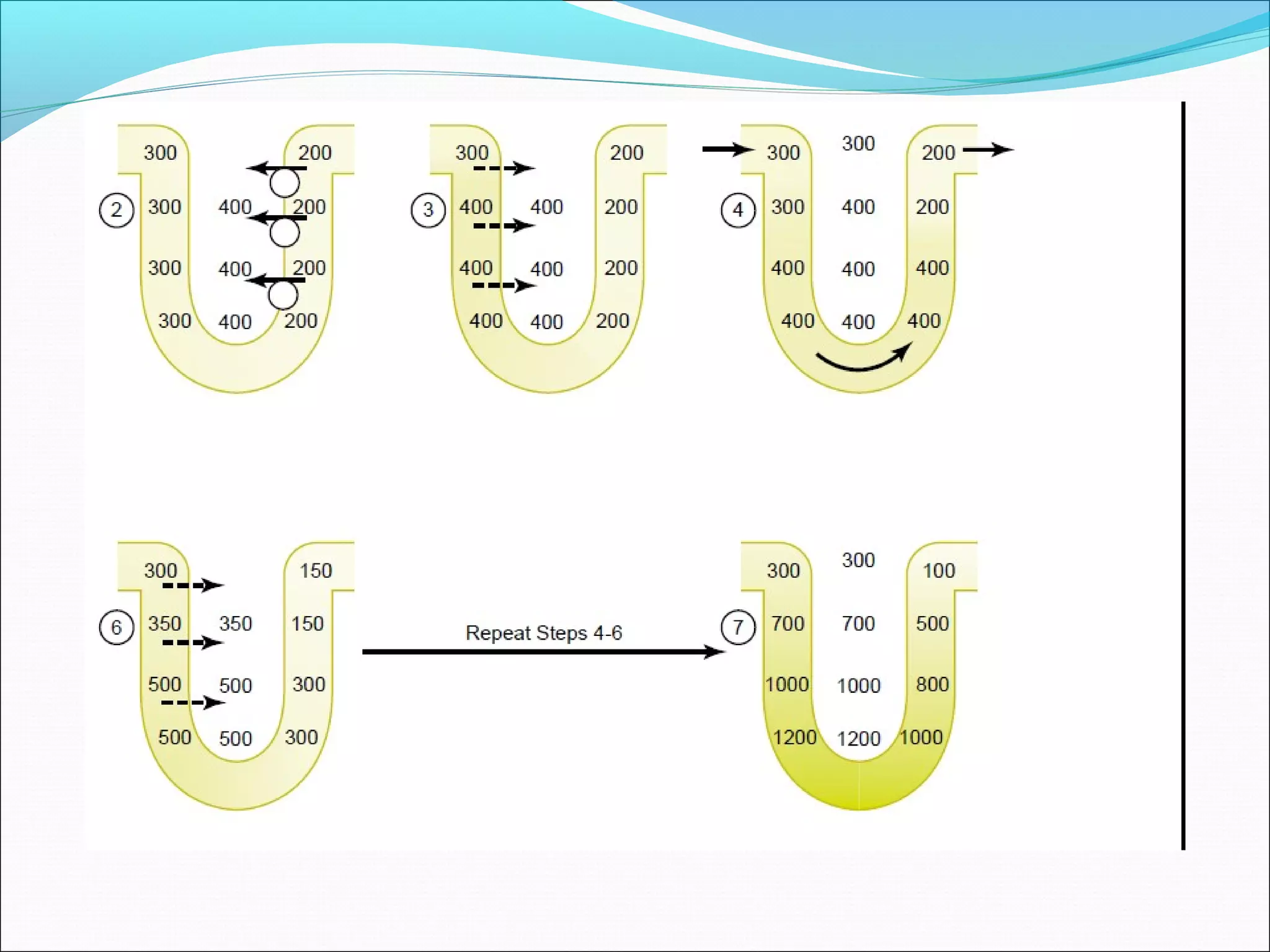 Counter current mechanism