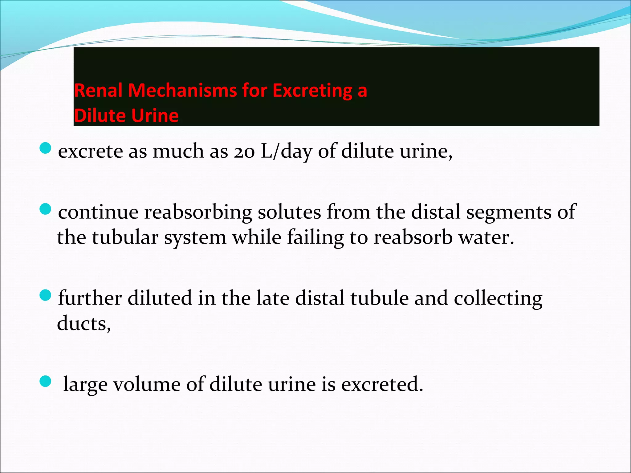 Renal Mechanisms for Excreting a
    Dilute Urine
excrete as much as 20 L/day of dilute urine,


continue reabsorbing solutes from the distal segments of
  the tubular system while failing to reabsorb water.

further diluted in the late distal tubule and collecting
  ducts,

 large volume of dilute urine is excreted.
 
