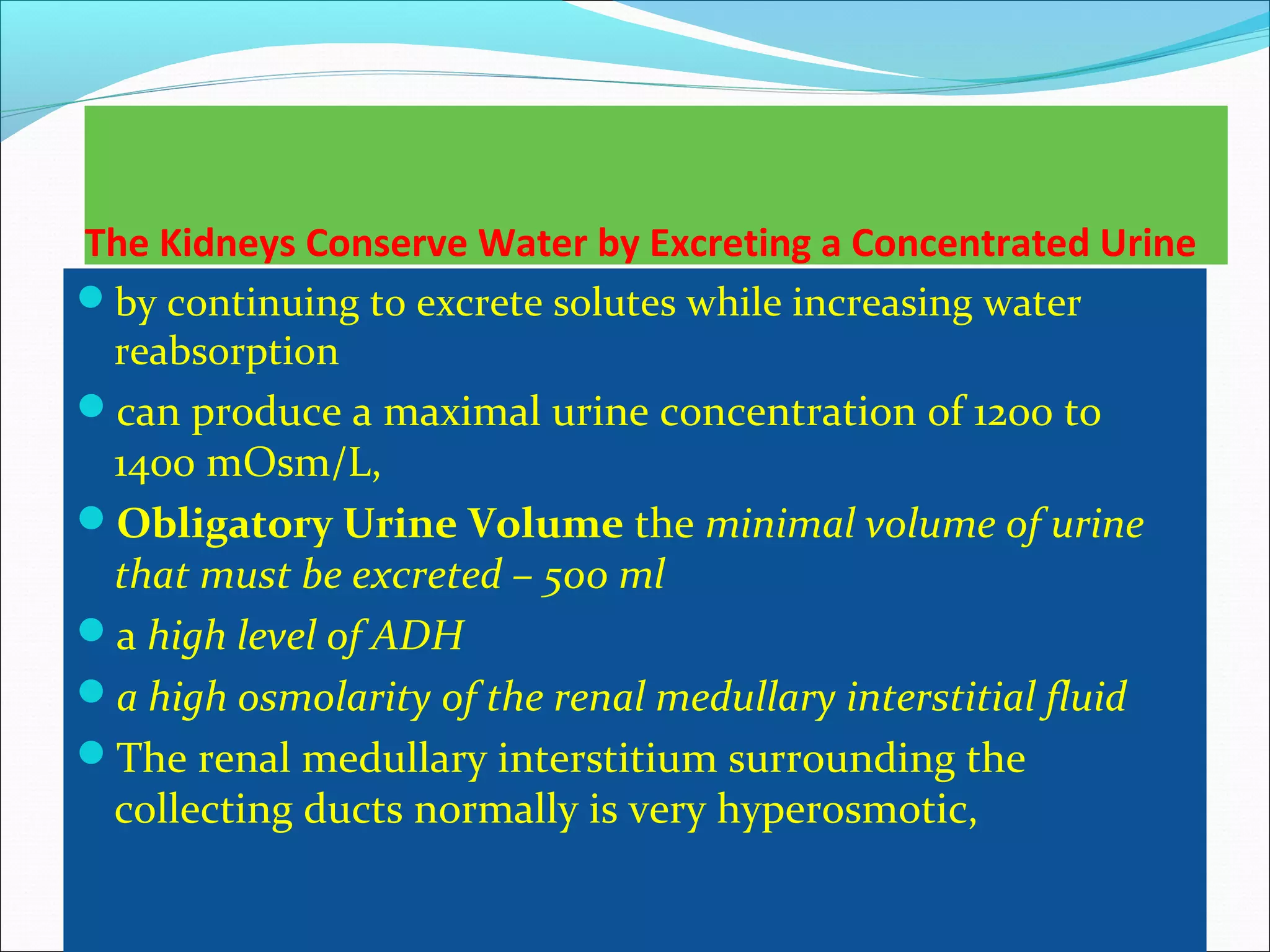 The Kidneys Conserve Water by Excreting a Concentrated Urine
by continuing to excrete solutes while increasing water
 reabsorption
can produce a maximal urine concentration of 1200 to
 1400 mOsm/L,
Obligatory Urine Volume the minimal volume of urine
 that must be excreted – 500 ml
a high level of ADH
a high osmolarity of the renal medullary interstitial fluid
The renal medullary interstitium surrounding the
 collecting ducts normally is very hyperosmotic,
 