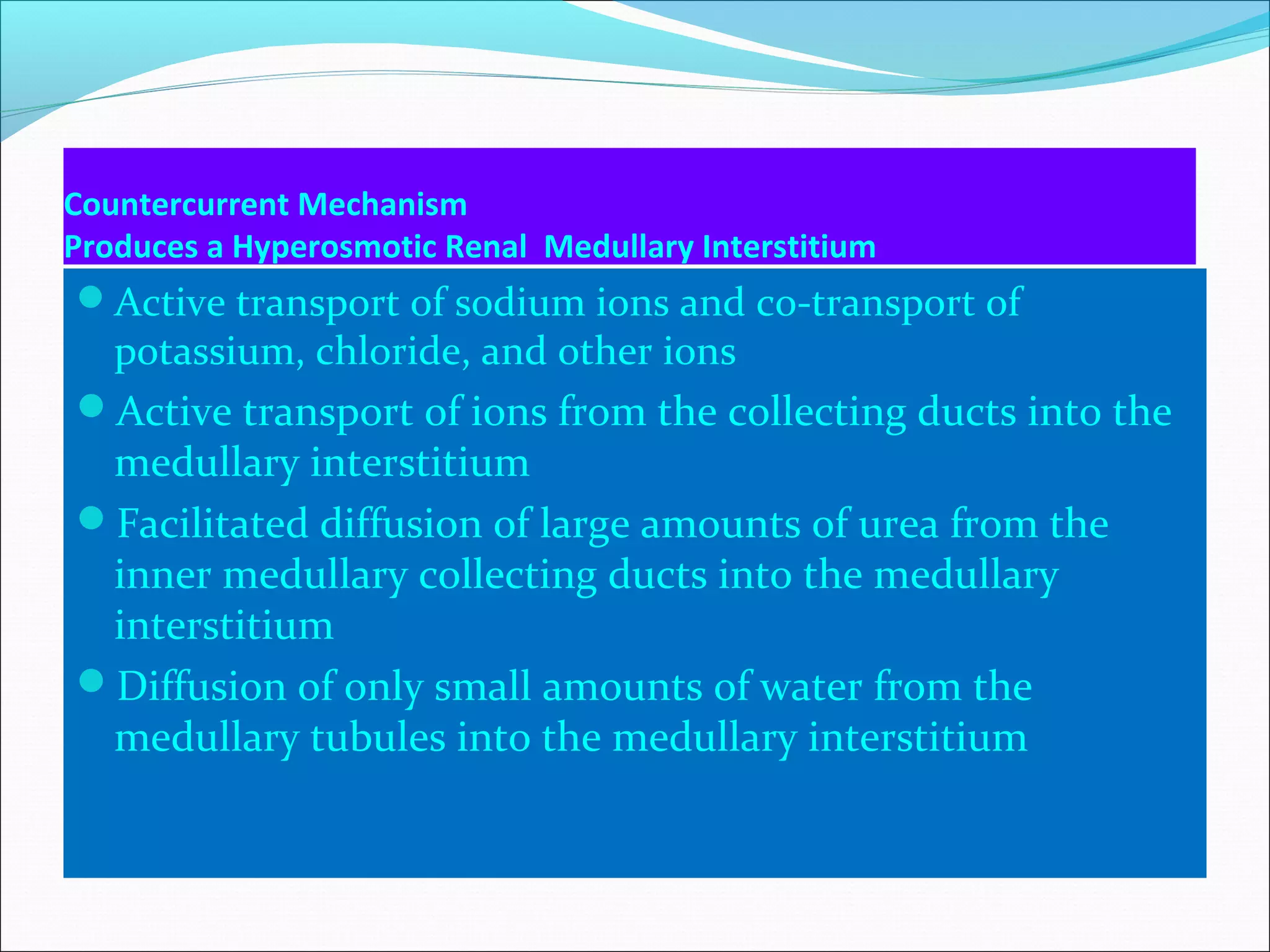 Countercurrent Mechanism
Produces a Hyperosmotic Renal Medullary Interstitium
Active transport of sodium ions and co-transport of
 potassium, chloride, and other ions
Active transport of ions from the collecting ducts into the
 medullary interstitium
Facilitated diffusion of large amounts of urea from the
 inner medullary collecting ducts into the medullary
 interstitium
Diffusion of only small amounts of water from the
 medullary tubules into the medullary interstitium
 