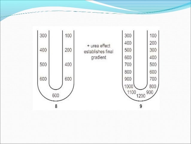Counter current mechanism