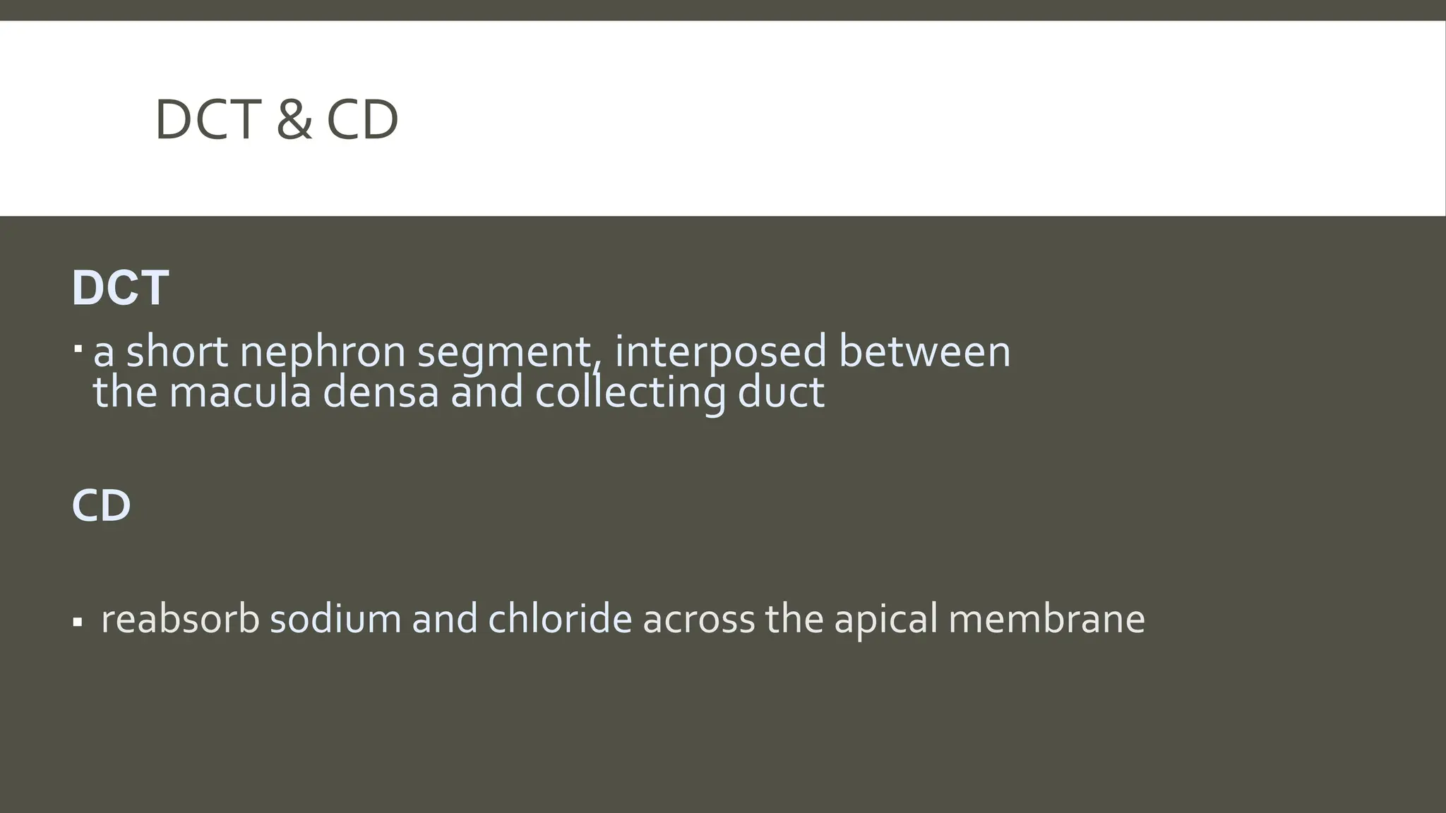 DCT & CD
DCT
a short nephron segment, interposed between
the macula densa and collecting duct
CD
 reabsorb sodium and chloride across the apical membrane
 