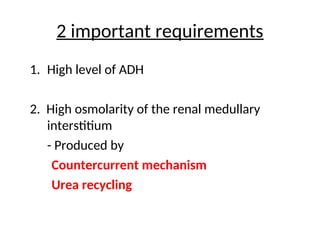 Counter current mechanism-physiology.ppt