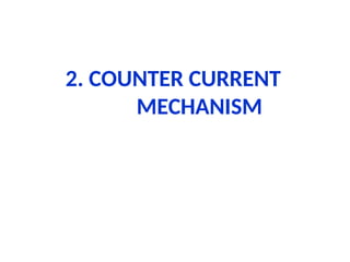 Counter current mechanism-physiology.ppt