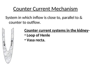 Counter current mechanism-physiology.ppt