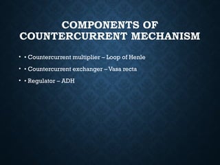 Countercurrent_Mechanism_Kidneyregu.pptx