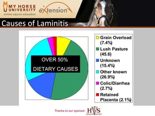 Causes of Laminitis  USDA- NAHMS, 2000 OVER 50%  DIETARY CAUSES 