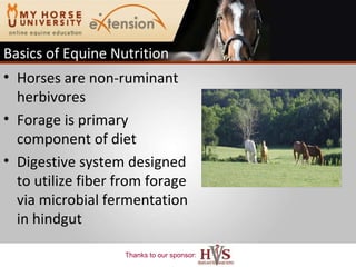 Basics of Equine Nutrition Horses are non-ruminant herbivores Forage is primary component of diet Digestive system designed to utilize fiber from forage via microbial fermentation in hindgut  