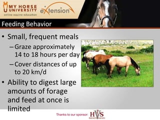 Small, frequent meals Graze approximately 14 to 18 hours per day  Cover distances of up to 20 km/d  Ability to digest large amounts of forage and feed at once is limited Feeding Behavior 
