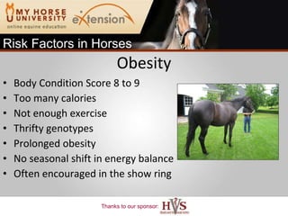 Obesity Body Condition Score 8 to 9 Too many calories Not enough exercise Thrifty genotypes Prolonged obesity No seasonal shift in energy balance Often encouraged in the show ring Risk Factors in Horses 