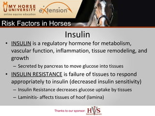 Insulin INSULIN   is a regulatory hormone for metabolism, vascular function, inflammation, tissue remodeling, and growth Secreted by pancreas to move glucose into tissues INSULIN RESISTANCE   is failure of tissues to respond appropriately to insulin (decreased insulin sensitivity)   Insulin Resistance decreases glucose uptake by tissues  Laminitis- affects tissues of hoof (lamina) Risk Factors in Horses 