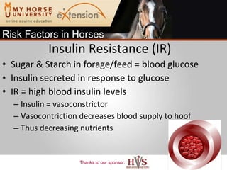 Insulin Resistance (IR) Sugar & Starch in forage/feed = blood glucose Insulin secreted in response to glucose IR = high blood insulin levels Insulin = vasoconstrictor Vasocontriction decreases blood supply to hoof Thus decreasing nutrients Risk Factors in Horses 