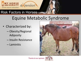 Equine Metabolic Syndrome Characterized by: Obesity/Regional Adiposity Insulin Resistance Laminitis Risk Factors in Horses 