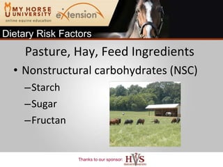 Pasture, Hay, Feed Ingredients Nonstructural carbohydrates (NSC) Starch Sugar Fructan Dietary Risk Factors 