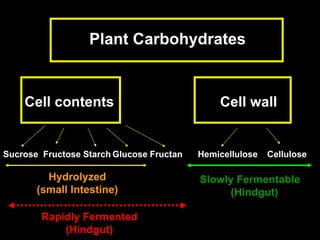 Plant Carbohydrates Cell contents Cell wall Fructan Fructose Starch Sucrose Hemicellulose Cellulose Rapidly Fermented (Hindgut) Glucose Hydrolyzed (small Intestine) Slowly Fermentable  (Hindgut) 