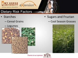 Starches Cereal Grains Legumes Sugars and Fructan Cool Season Grasses Dietary Risk Factors 