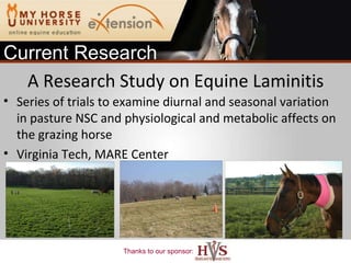 A Research Study on Equine Laminitis Series of trials to examine diurnal and seasonal variation in pasture NSC and physiological and metabolic affects on the grazing horse Virginia Tech, MARE Center  Current Research 