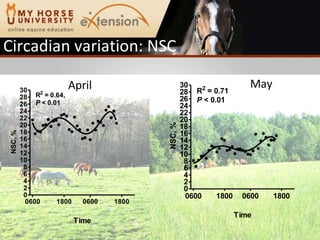 Circadian variation: NSC April May  