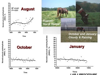 August October January October and January:  Cloudy & Raining August:  Hot & Humid LAB 1 PROCEDURE 