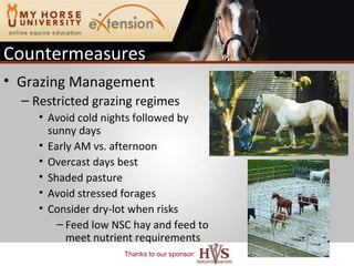 Countermeasures Grazing Management Restricted grazing regimes Avoid cold nights followed by sunny days Early AM vs. afternoon Overcast days best Shaded pasture Avoid stressed forages Consider dry-lot when risks Feed low NSC hay and feed to meet nutrient requirements 