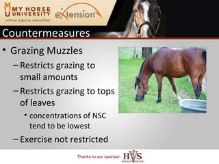 Grazing Muzzles Restricts grazing to small amounts Restricts grazing to tops of leaves concentrations of NSC tend to be lowest  Exercise not restricted Countermeasures 