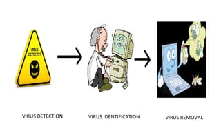 Computer Virus Countermeasures Counter Measures Of Virus | PPT