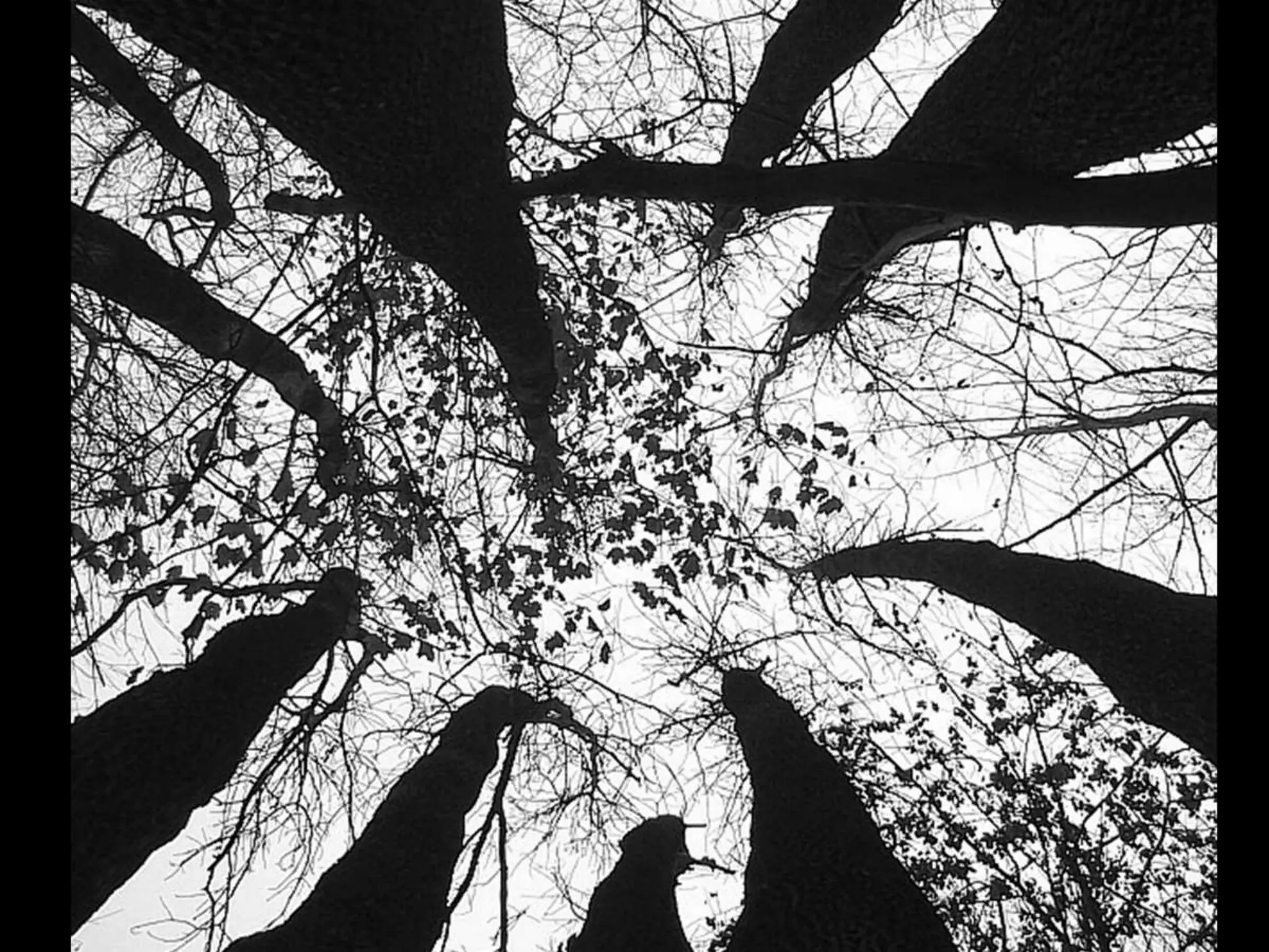 Миша Постольный «Контрформа». Харьков. 