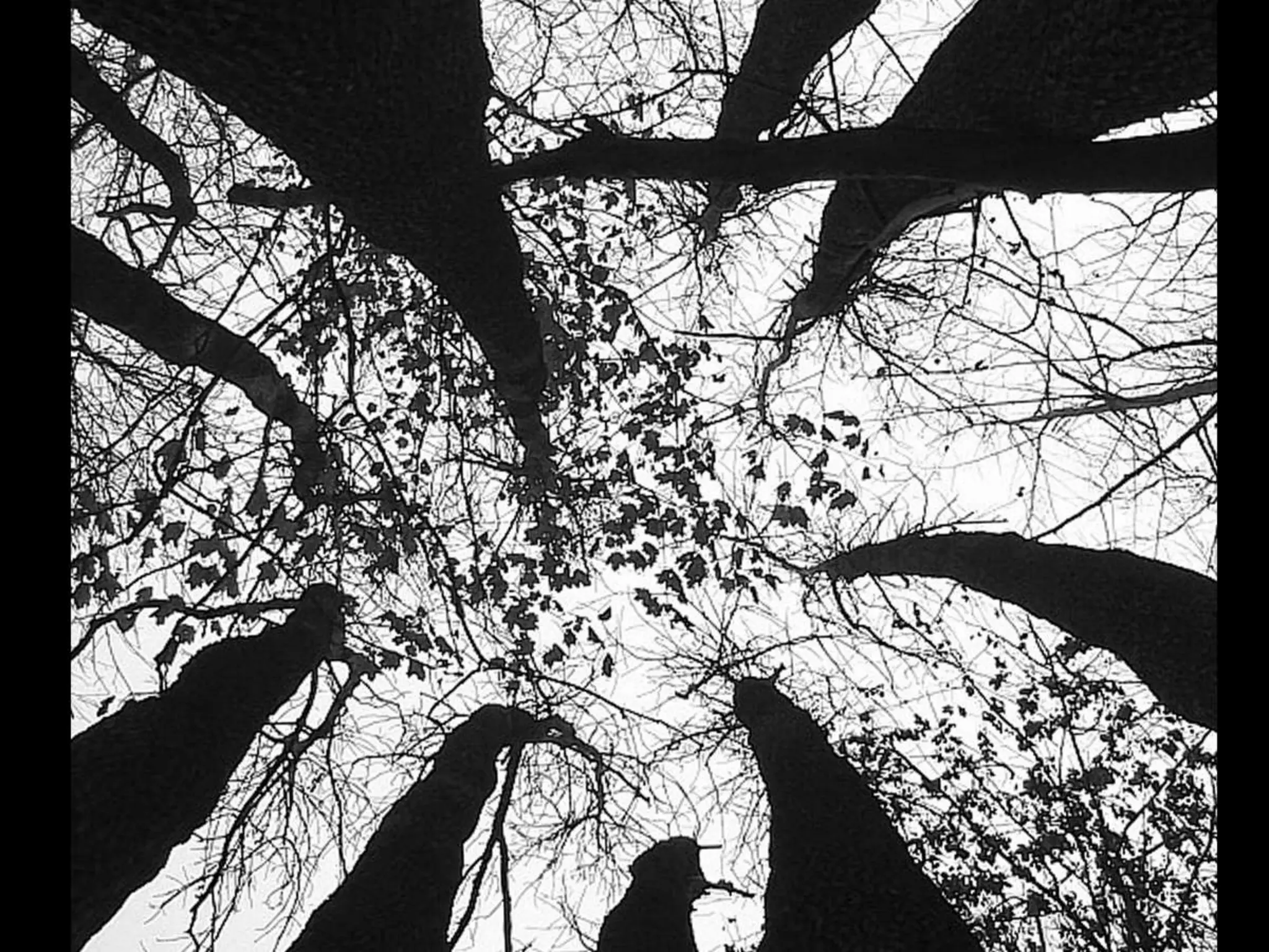 Миша Постольный «Контрформа». Харьков. 