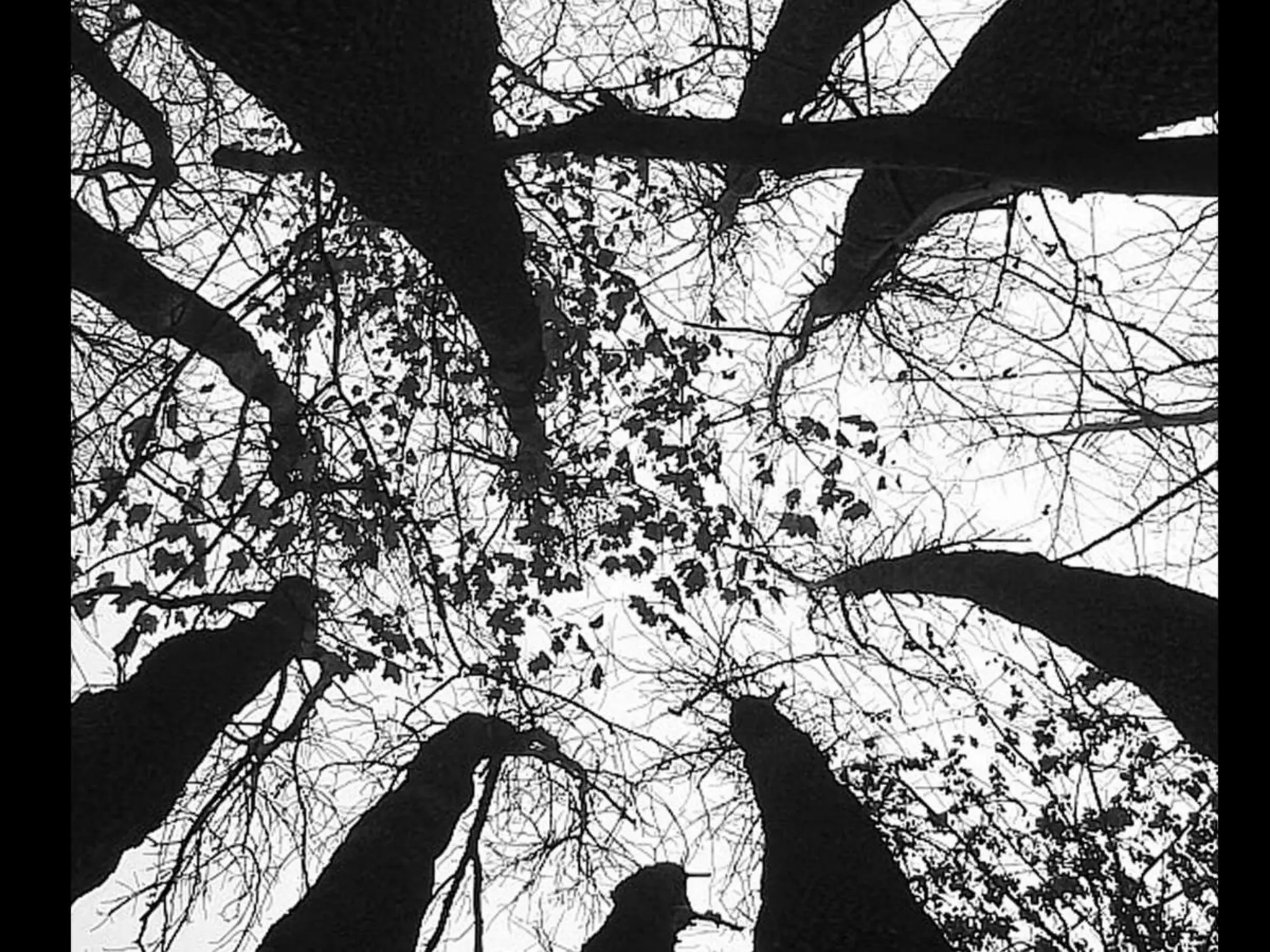 Миша Постольный «Контрформа». Харьков. 